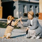 Zabawa z psem – na co zwrócić uwagę?